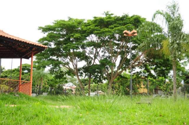 Em &aacute;rea nobre, o parque do Itanhang&aacute; j&aacute; foi mais bonito