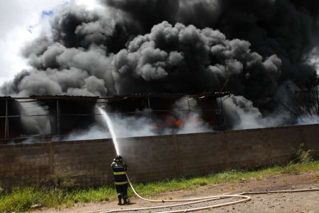 Bombeiros destelham canil para salvar c&atilde;o que estava em f&aacute;brica incendiada