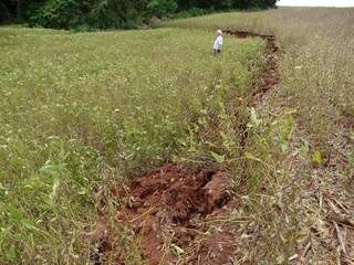 Acomodação do solo aconteceu em lavoura de soja e produtor perdeu 55 sacas do grão. (Foto: Vilson Nascimento/ A Gazeta News)