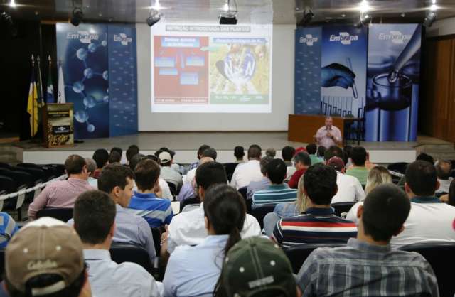 Uso de tecnologias no cultivo da soja &eacute; tema de semin&aacute;rio
