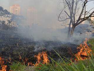 Fogo consome vegetação em terreno. (Foto: Simão Nogueira)
