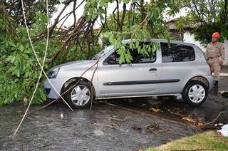 O galho da árvore caiu em cima do carro. (Fotos: Luciano Muta)