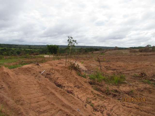 Com licen&ccedil;a ambiental, &aacute;rea de mata &eacute; posta abaixo perto de rio 