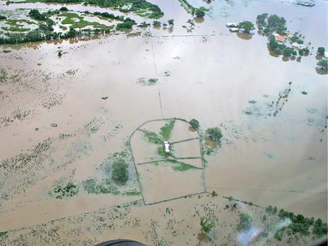  Governo pede estudo, antes de inserir Pantanal em estado de emerg&ecirc;ncia