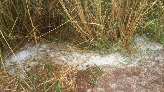 Chuva de granizo em zona rural impressiona morador; veja o v&iacute;deo 