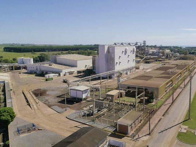 Maior f&aacute;brica de prote&iacute;na de soja da Am&eacute;rica Latina gera 140 empregos