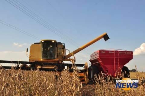 Prejuízo para produtores de soja deve superar R$ 300 milhões em MS