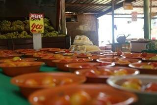 Direto da horta, bandeja de tomate sai por R$ 2. (Foto: Fernando Antunes)