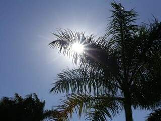 Sol brilhando forte em Campo Grande, neste sábado; cenário deve mudar pelos próximos dias (Foto: Kisie Ainoã)