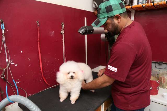 Temperatura baixa faz atendimento de pet shop cair  quase 75%