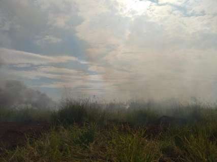 Com até 3 incêndios na semana, moradores reclamam de fumaça no Caiobá 