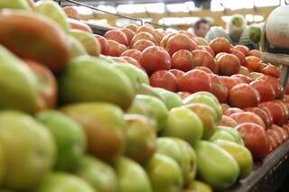 A boa produtividade do tomate fez com que o preço diminuísse, e em 12 meses teve variação de 9,43%. (Foto: Marcos Ermínio)