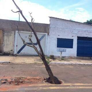 moradores colocaram um galho para sinalizar o local e o que era pra ser uma solução, aumentou ainda mais o risco de acidentes pelo cruzamento.(Foto:Direto das Ruas)