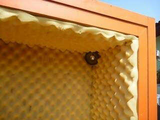Criadores também usam as cabines para isolar pássaros que são bons reprodutores. (Foto: Divulgação)