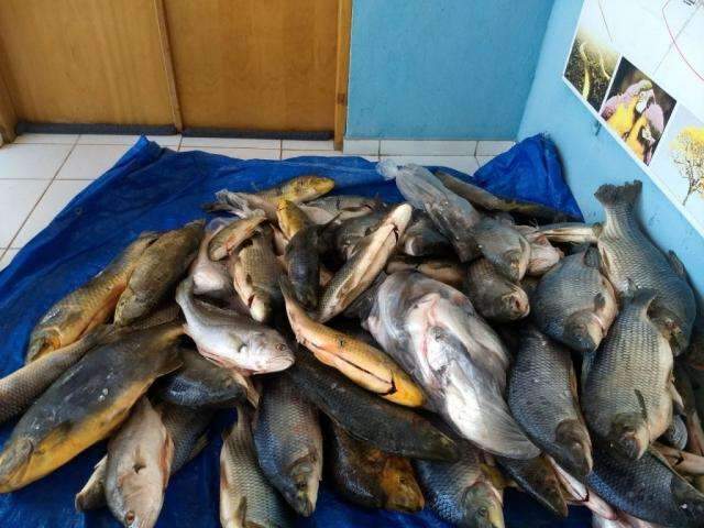 Tr&ecirc;s s&atilde;o presos e multados em R$ 7,4 mil por venda ilegal de peixes 