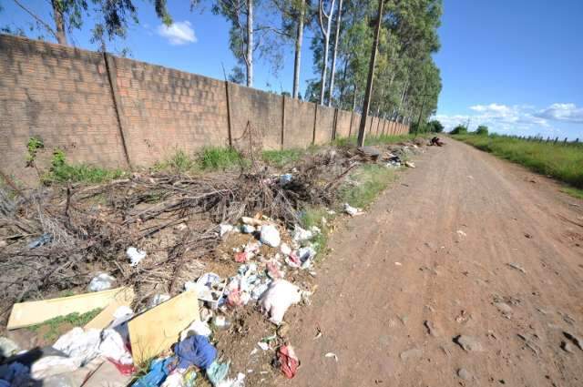 Ruas viram dep&oacute;sito de lixo, entulhos e cemit&eacute;rio de animais em bairros