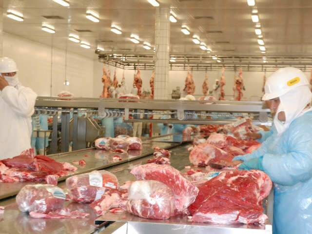  Greve de fiscais j&aacute; provoca fila de caminh&otilde;es em frigor&iacute;ficos 
