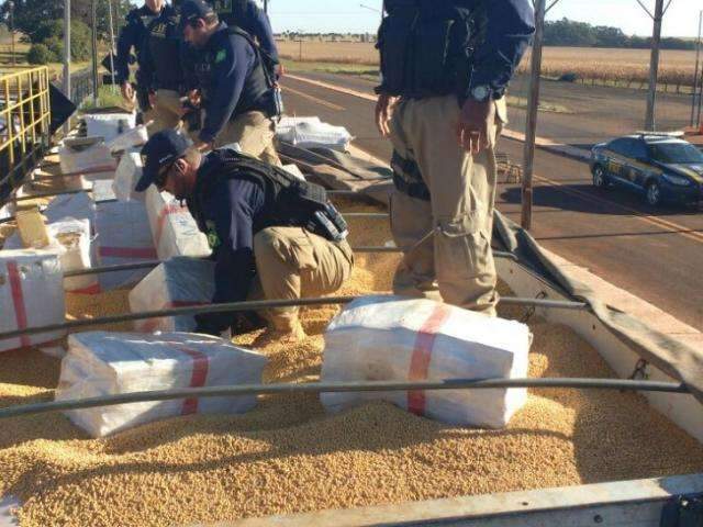 Para ganhar R$ 50 mil, motorista levava maconha em carga de soja