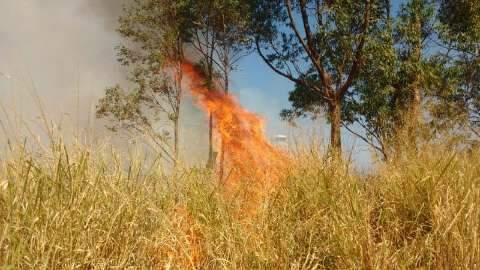 Fumaça de incêndio em vegetação do aeroporto pode ser vista de longe