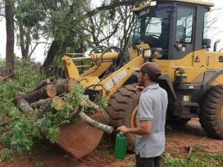Máquina foi usada para retirar árvore que caiu após vendaval em Ribas do Rio Pardo (Foto: Divulgação)