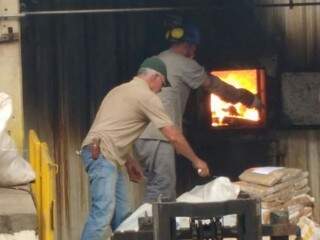 Entorpecente está sendo incinerado em forno de farinheira (Foto: Adilson Domingos)