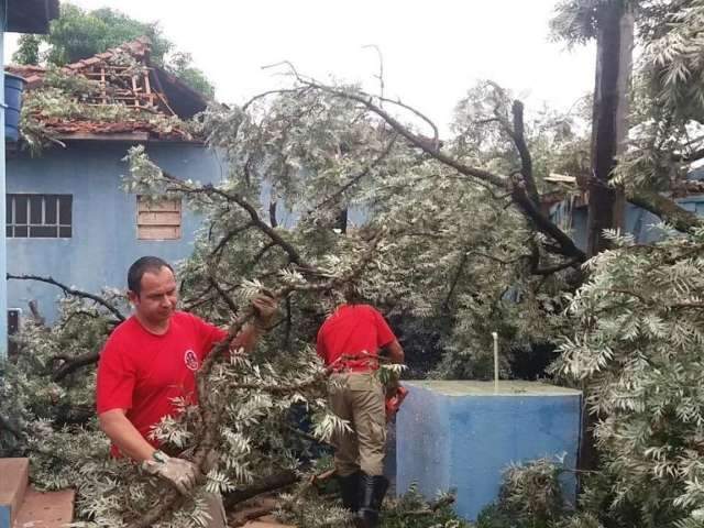 Em 2 dias de chuva, bombeiros registram 41 quedas de &aacute;rvores 