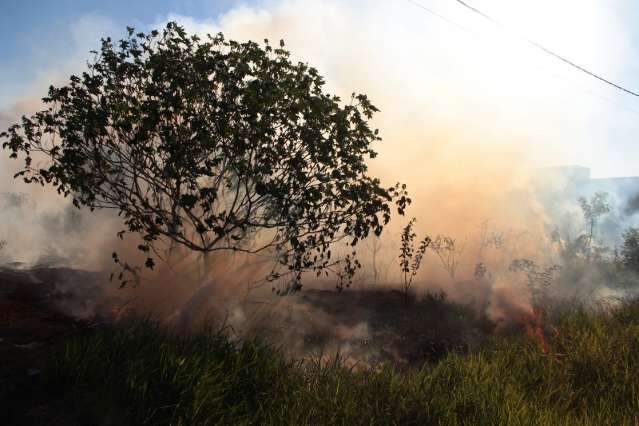 Com tempo seco, Capital tem 15 ocorr&ecirc;ncias de inc&ecirc;ndio em vegeta&ccedil;&atilde;o