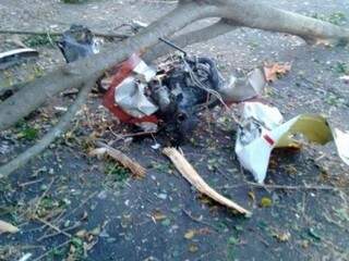 Peças do avião ficaram espalhadas no local do acidente, próximas da árvore atingida pela aeronave (Foto: Silvoney Cesário/Cassilândia Notícias)