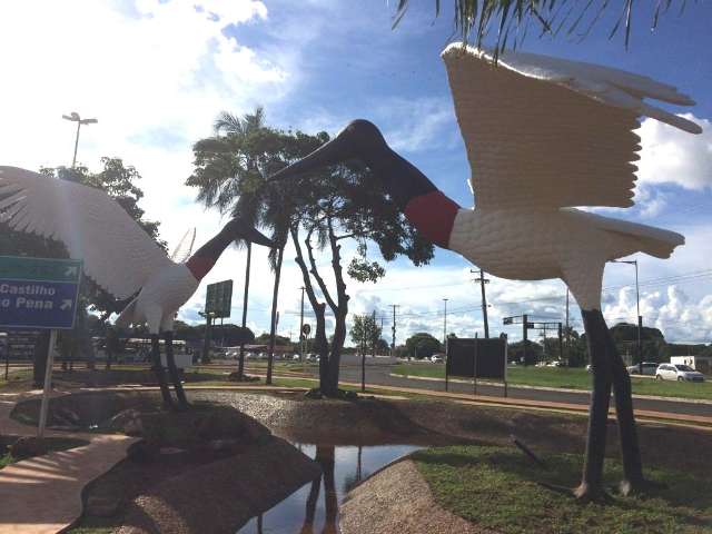 Sugest&otilde;es de nomes para os tiui&uacute;s do aeroporto podem ser enviadas at&eacute; dia 7 