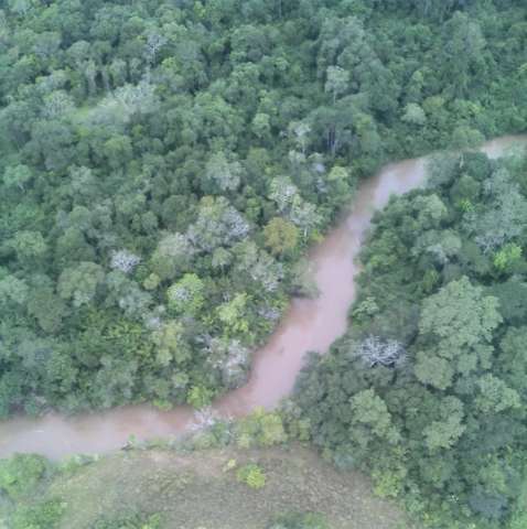 Fazendeiro &eacute; multado em R$ 13 mi por desmatar e degradar nascentes de rio