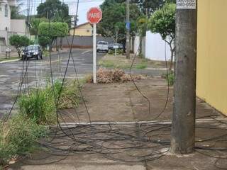 Por iniciativa de uma morador do Jardim São Lourenço, fios foram retirados do meio da rua, mas ainda atrapalham pedestres. (Foto: Alcides Neto) 