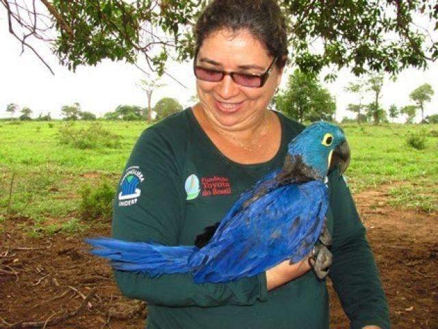 Projeto Arara Azul &eacute; finalista em pr&ecirc;mio nacional de conserva&ccedil;&atilde;o 