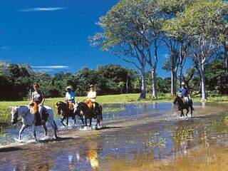 Cavalgada em boa montaria pelos campos alagados do Pantanal: contato com a natureza exuberante. (Foto: Reprodução)
