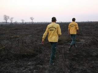 Focos de incêndio se intensificaram no Pantanal desde agosto deste ano (Foto: Arquivo/Paulo Francis)