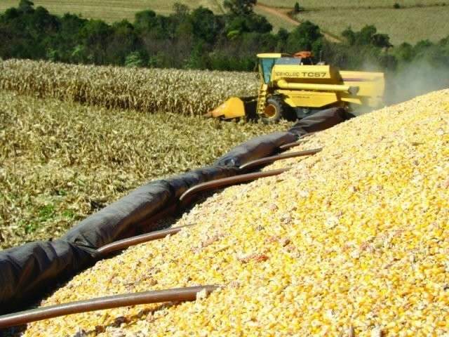 Plantio de milho safrinha e colheita de soja no Estado est&atilde;o 30% atrasados