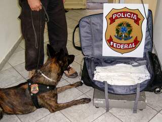 Cocaína foi apreendida com auxílio de cão farejador da PF no aeroporto de Corumbá. (Foto: Divulgação)