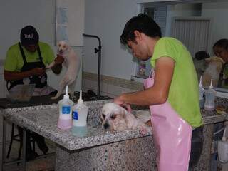 Hospedagem em hotem inclui passeio diário e banho no animal a cada cinco dias(Foto: Pedro Peralta)