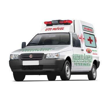 Campo Grande recebe 1º ambulância UTI móvel para animais, a 3º do país