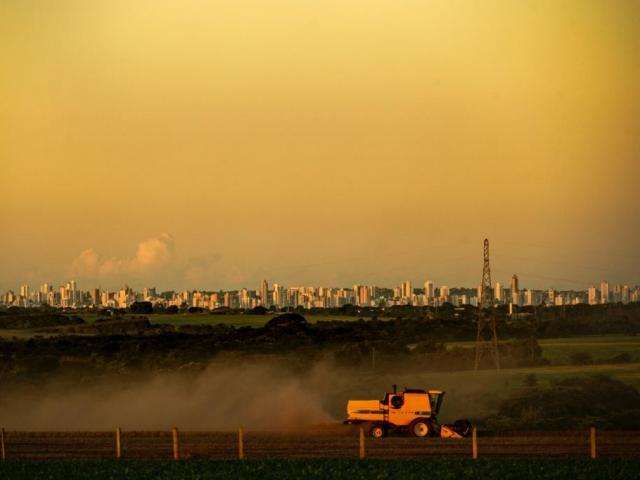 &Aacute;rea plantada da soja atinge 12,4% no Estado, aponta Famasul