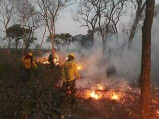 Combate ao fogo na região de Chiquitanias está sendo feito por brigadistas (Foto: Ivan Quezada/La Razon)