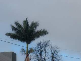 Dia amanheceu mais quente em Campo Grande, mas com céu nublado bem nublado (Foto: Henrique Kawsaminami)