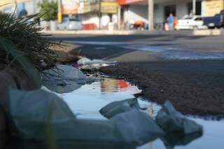 A água passa por parte da Avenida Mascarenhas de Moraes (Foto: Cléber Gellio)