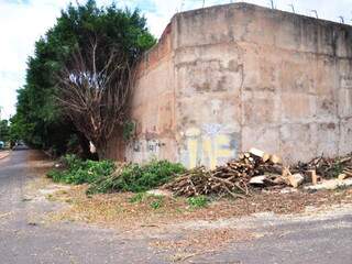 Muro surge ana paisagem, depois de corte das árvores. Foto; João Garrigó