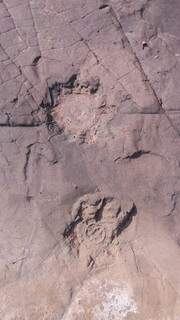 Rastros fossilizados dos gigantescos animais extintos há 65 milhões de anos, em uma laje rochosa no leito do rio Nioaque (Foto: Jorge Luís Cardoso/Secretário de Turismo)