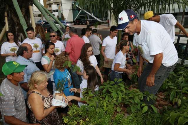 Figueira com mais de 80 anos de vida ganha clone geneticamente id&ecirc;ntico