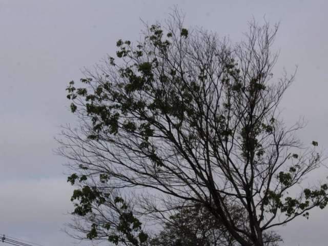 Com c&eacute;u carregado de nuvens, previs&atilde;o &eacute; de chuva a qualquer hora