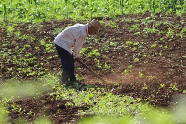 Prazo para agricultor quitar d&iacute;vida com desconto de 70% termina na quarta-feira