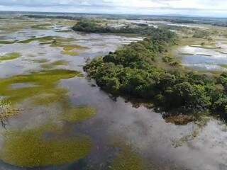 Paisagem alagada no Payaguás do Xarayés. (Foto: Instituto Agwa/Reprodução)