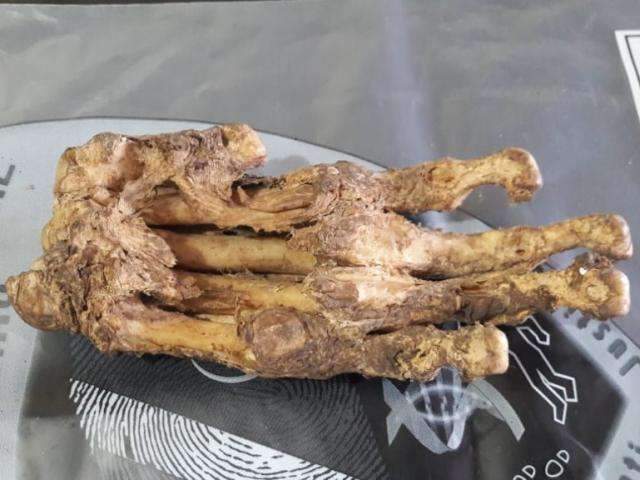 M&atilde;o esquerda &eacute; encontrada em ve&iacute;culo recolhido em p&aacute;tio do Detran