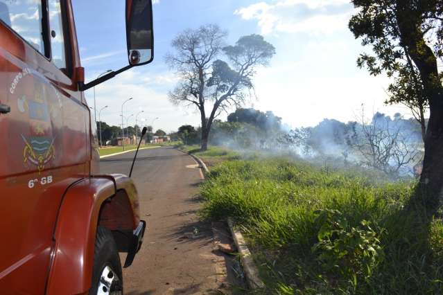Com &aacute;gua de piscina, moradores tentam controlar inc&ecirc;ndio em vegeta&ccedil;&atilde;o